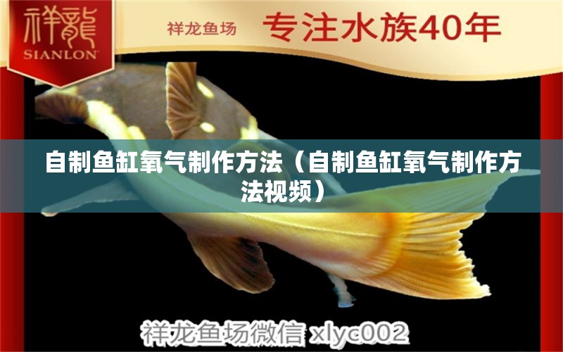 自制魚缸氧氣制作方法（自制魚缸氧氣制作方法視頻） 祥龍水族醫(yī)院