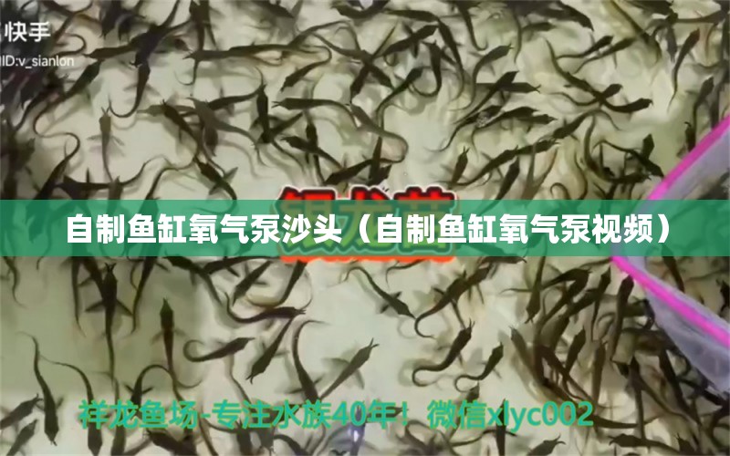 自制魚缸氧氣泵沙頭（自制魚缸氧氣泵視頻） 量子養(yǎng)魚技術(shù)