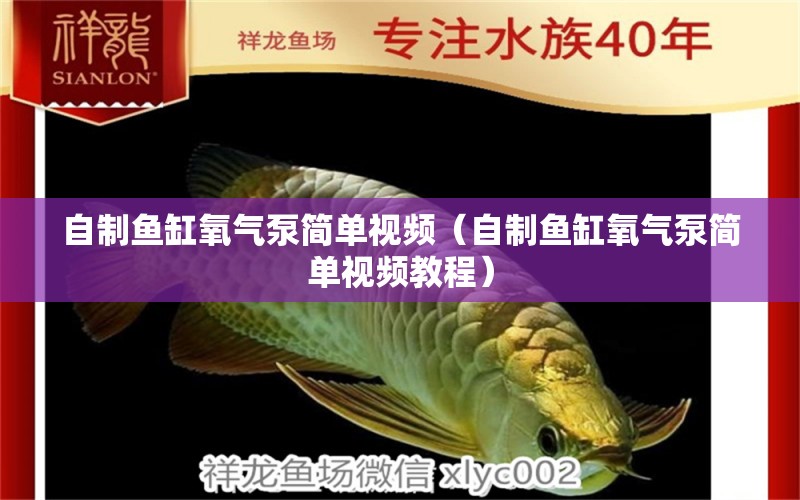 自制魚缸氧氣泵簡單視頻（自制魚缸氧氣泵簡單視頻教程） 魟魚百科