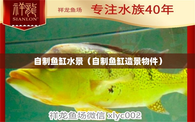 自制魚(yú)缸水景（自制魚(yú)缸造景物件）