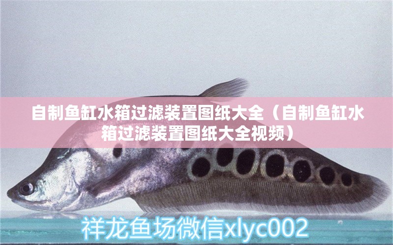 自制魚(yú)缸水箱過(guò)濾裝置圖紙大全（自制魚(yú)缸水箱過(guò)濾裝置圖紙大全視頻）