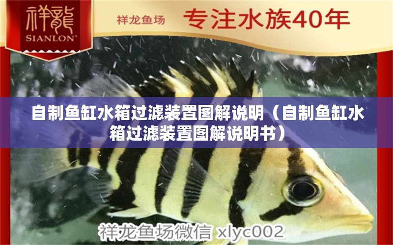 自制魚缸水箱過(guò)濾裝置圖解說(shuō)明（自制魚缸水箱過(guò)濾裝置圖解說(shuō)明書）