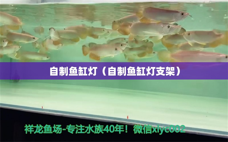 自制魚缸燈（自制魚缸燈支架）