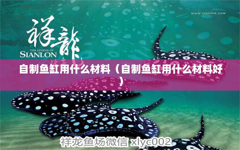 自制魚缸用什么材料（自制魚缸用什么材料好） 祥龍水族醫(yī)院