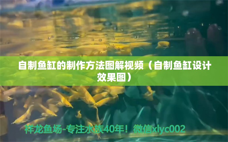 自制魚(yú)缸的制作方法圖解視頻（自制魚(yú)缸設(shè)計(jì)效果圖）