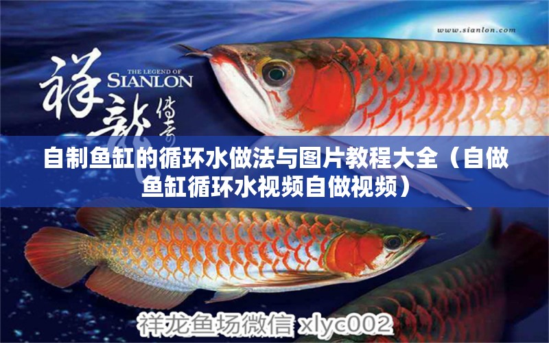 自制魚缸的循環(huán)水做法與圖片教程大全（自做魚缸循環(huán)水視頻自做視頻） 廣州觀賞魚批發(fā)市場