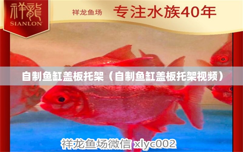 自制魚缸蓋板托架（自制魚缸蓋板托架視頻）