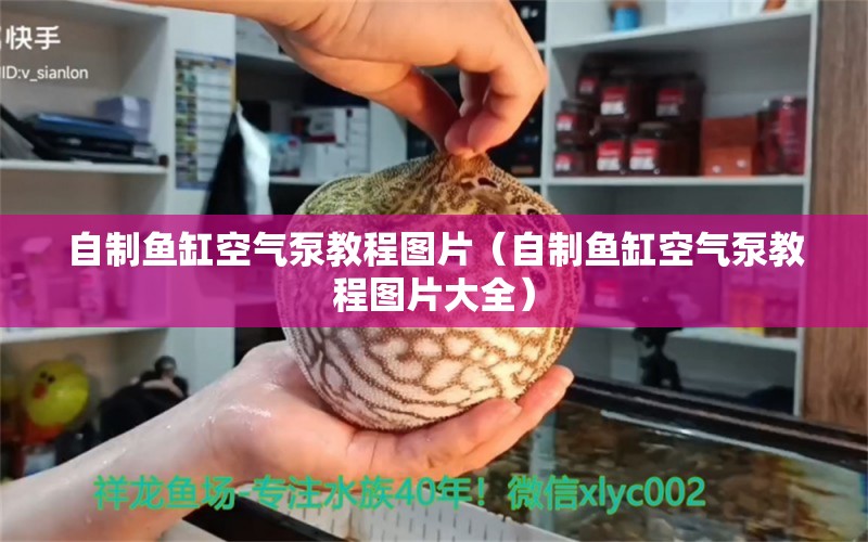 自制魚缸空氣泵教程圖片（自制魚缸空氣泵教程圖片大全）