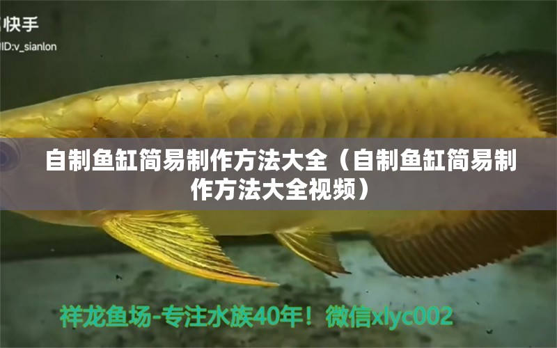 自制魚缸簡易制作方法大全（自制魚缸簡易制作方法大全視頻） 觀賞魚市場（混養(yǎng)魚）