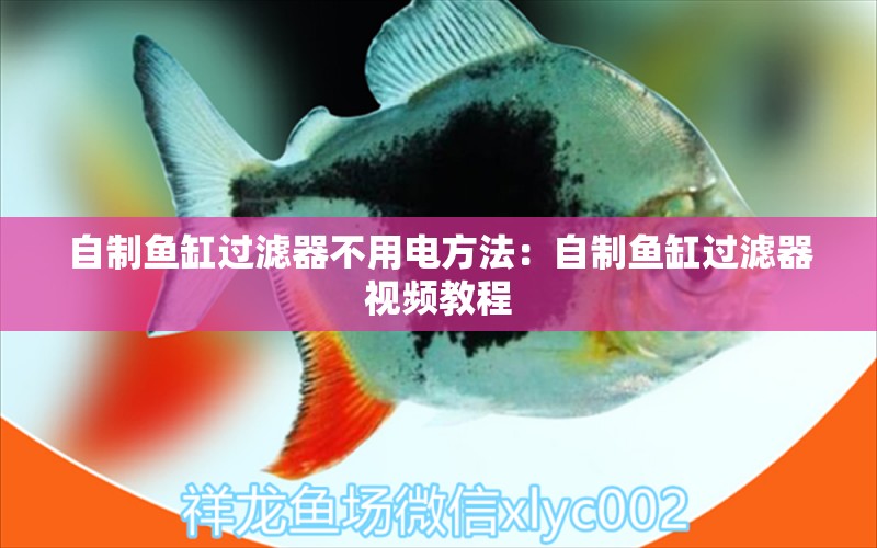 自制魚缸過濾器不用電方法：自制魚缸過濾器視頻教程