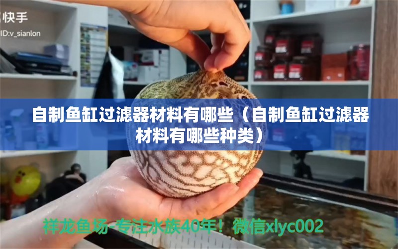 自制魚缸過濾器材料有哪些（自制魚缸過濾器材料有哪些種類） 祥龍魚場