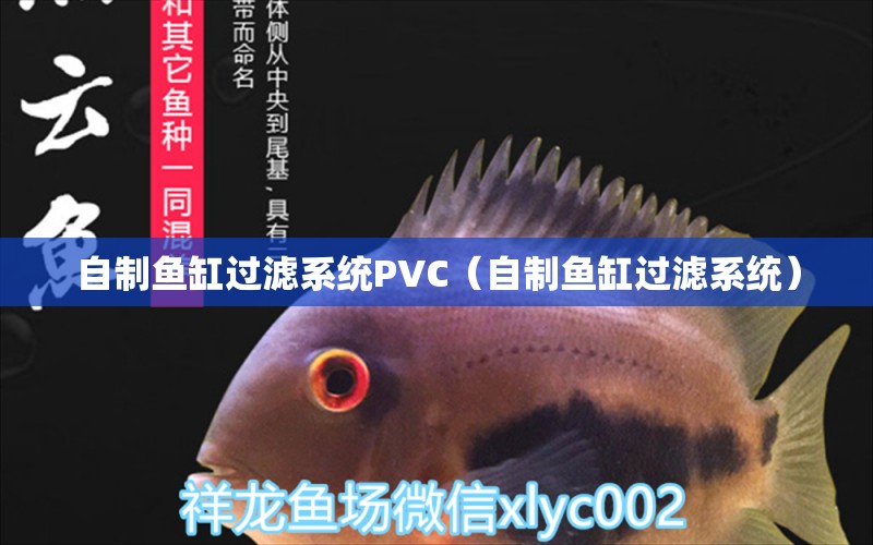 自制魚(yú)缸過(guò)濾系統(tǒng)PVC（自制魚(yú)缸過(guò)濾系統(tǒng)）