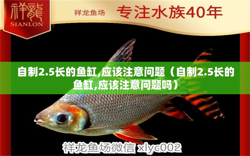 自制2.5長的魚缸,應(yīng)該注意問題（自制2.5長的魚缸,應(yīng)該注意問題嗎）