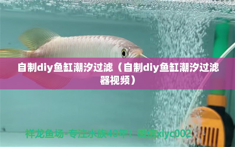 自制diy魚(yú)缸潮汐過(guò)濾（自制diy魚(yú)缸潮汐過(guò)濾器視頻） 祥龍水族醫(yī)院