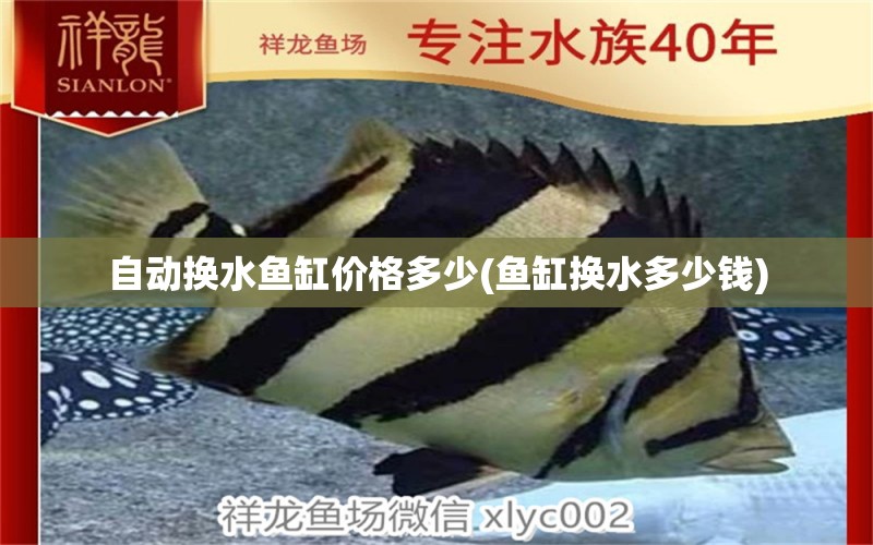 自動(dòng)換水魚缸價(jià)格多少(魚缸換水多少錢)