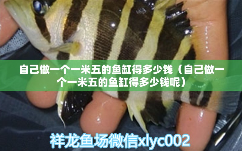 自己做一個一米五的魚缸得多少錢（自己做一個一米五的魚缸得多少錢呢）