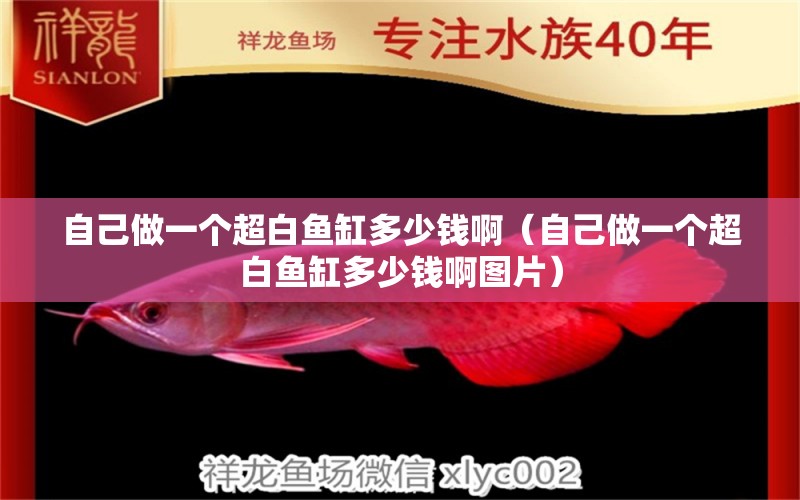 自己做一個(gè)超白魚(yú)缸多少錢?。ㄗ约鹤鲆粋€(gè)超白魚(yú)缸多少錢啊圖片）