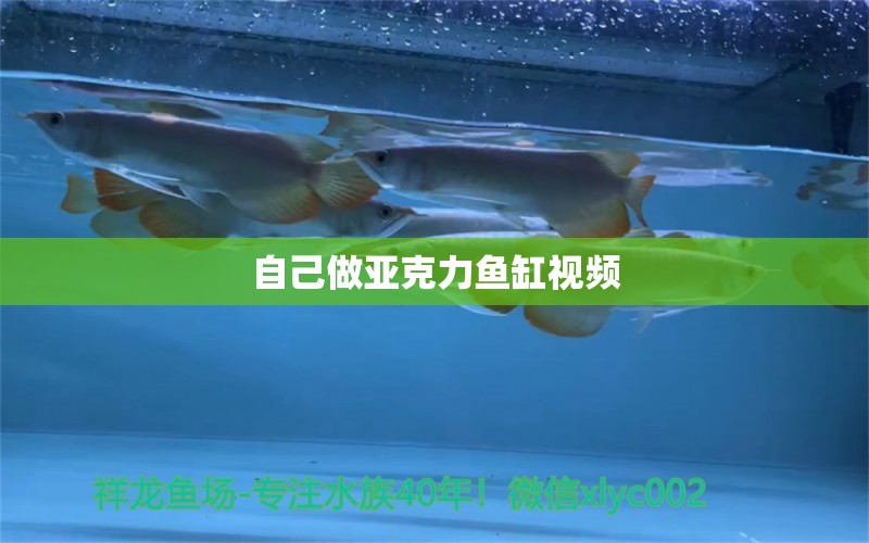 自己做亞克力魚缸視頻