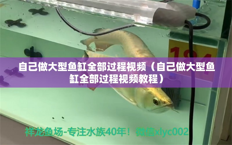 自己做大型魚(yú)缸全部過(guò)程視頻（自己做大型魚(yú)缸全部過(guò)程視頻教程） 其他品牌魚(yú)缸