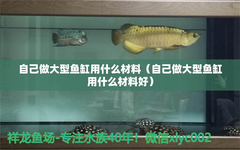 自己做大型魚缸用什么材料（自己做大型魚缸用什么材料好） 觀賞魚市場（混養(yǎng)魚）