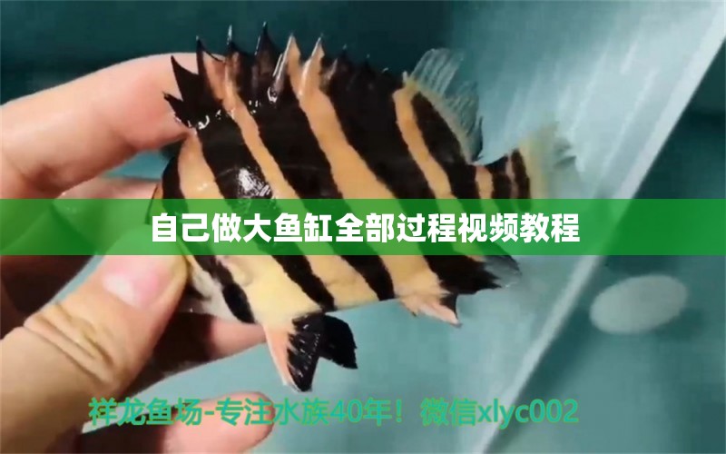 自己做大魚缸全部過程視頻教程