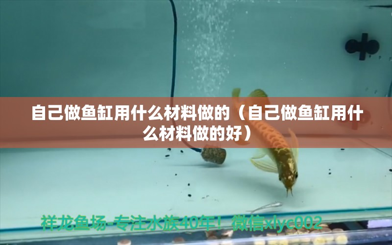 自己做魚缸用什么材料做的（自己做魚缸用什么材料做的好）