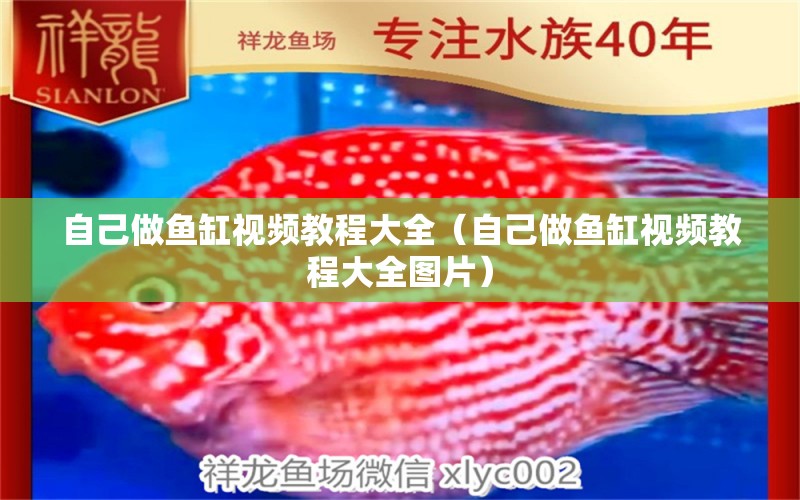 自己做魚缸視頻教程大全（自己做魚缸視頻教程大全圖片）