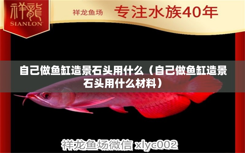 自己做魚缸造景石頭用什么（自己做魚缸造景石頭用什么材料） 七紋巨鯉魚