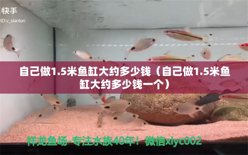 自己做1.5米魚缸大約多少錢（自己做1.5米魚缸大約多少錢一個）