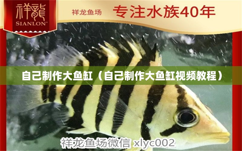 自己制作大魚缸（自己制作大魚缸視頻教程）