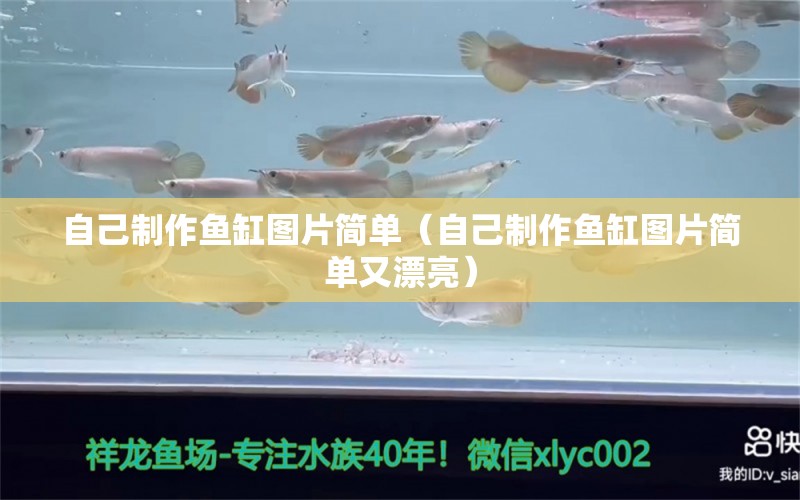 自己制作魚缸圖片簡單（自己制作魚缸圖片簡單又漂亮）