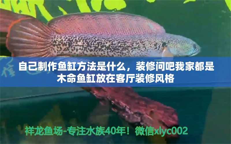 自己制作魚缸方法是什么，裝修問吧我家都是木命魚缸放在客廳裝修風(fēng)格 養(yǎng)魚的好處