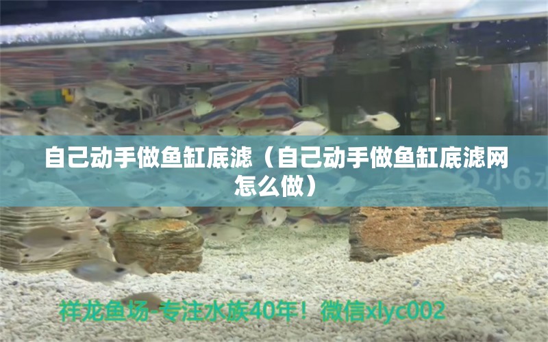 自己動手做魚缸底濾（自己動手做魚缸底濾網(wǎng)怎么做） 祥龍水族醫(yī)院