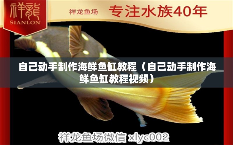 自己動手制作海鮮魚缸教程（自己動手制作海鮮魚缸教程視頻）