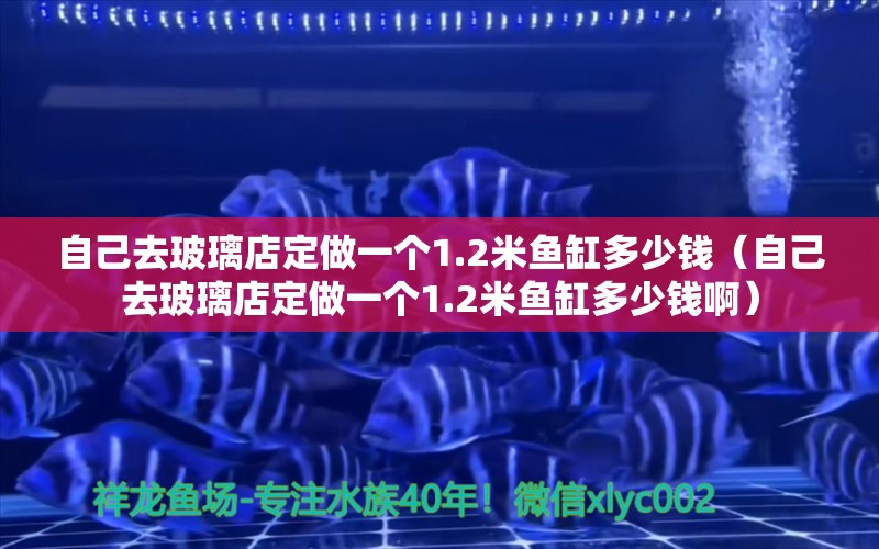 自己去玻璃店定做一個(gè)1.2米魚缸多少錢（自己去玻璃店定做一個(gè)1.2米魚缸多少錢?。?白子黑帝王魟魚