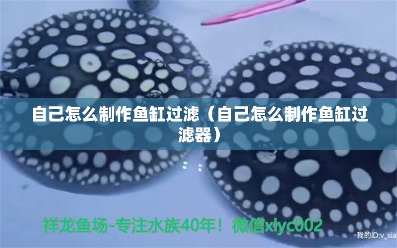 自己怎么制作魚(yú)缸過(guò)濾（自己怎么制作魚(yú)缸過(guò)濾器） 定時(shí)器/自控系統(tǒng)