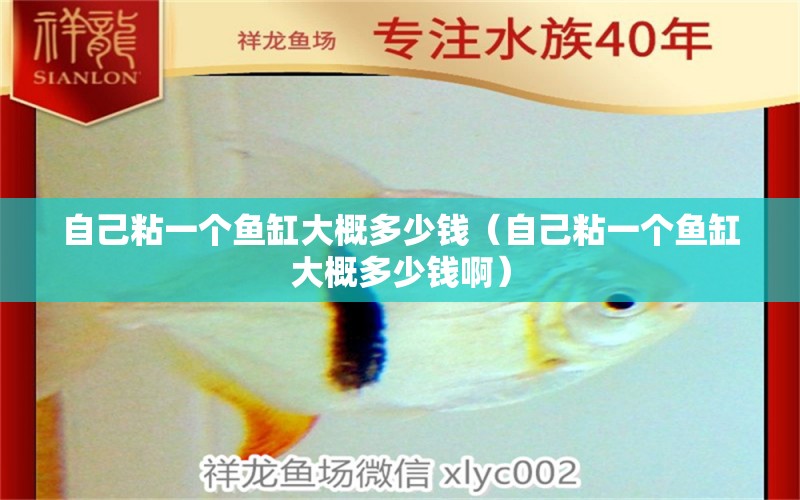 自己粘一個魚缸大概多少錢（自己粘一個魚缸大概多少錢?。? title=