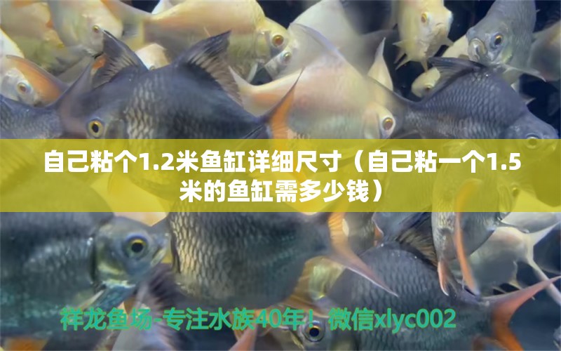 自己粘個(gè)1.2米魚缸詳細(xì)尺寸（自己粘一個(gè)1.5米的魚缸需多少錢） 其他品牌魚缸