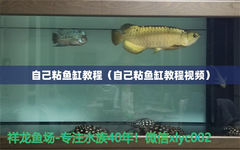 自己粘魚缸教程（自己粘魚缸教程視頻） 其他品牌魚缸