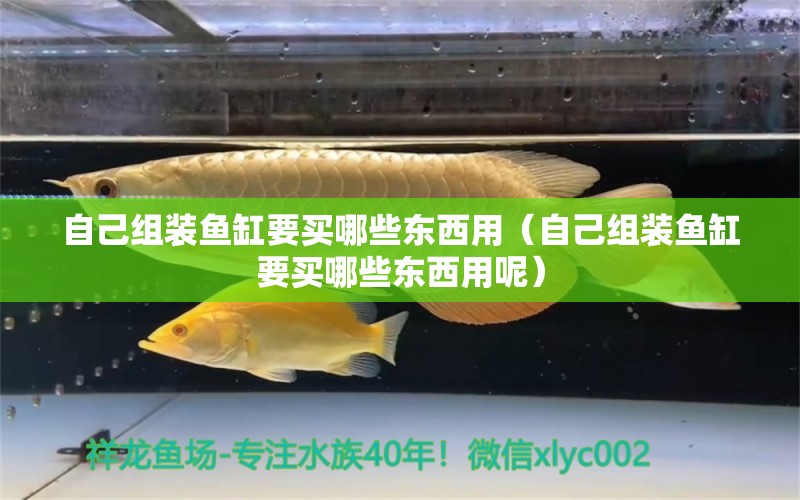 自己組裝魚缸要買哪些東西用（自己組裝魚缸要買哪些東西用呢）