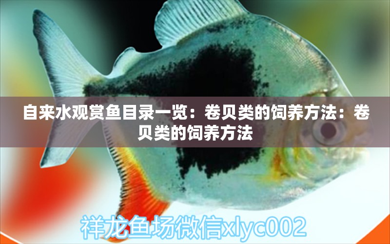 自來(lái)水觀賞魚(yú)目錄一覽：卷貝類的飼養(yǎng)方法：卷貝類的飼養(yǎng)方法 元寶鯽