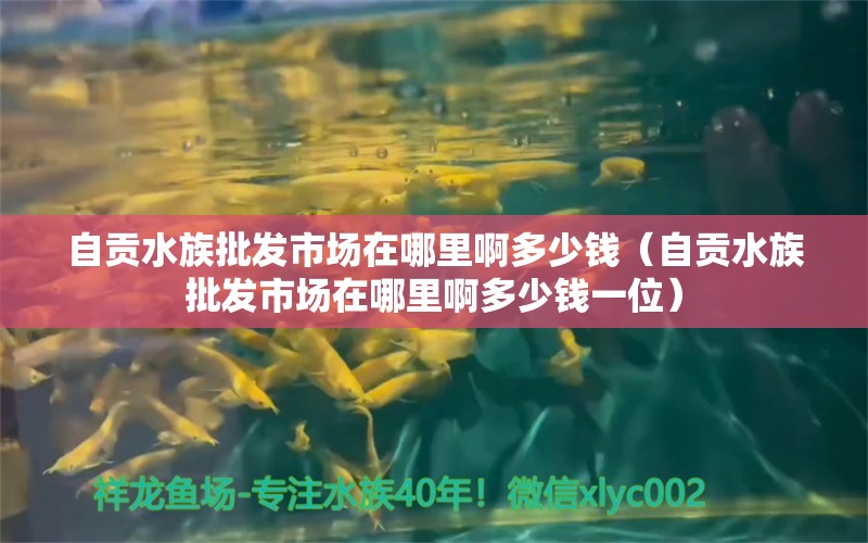 自貢水族批發(fā)市場(chǎng)在哪里啊多少錢（自貢水族批發(fā)市場(chǎng)在哪里啊多少錢一位）