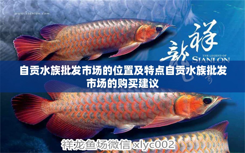 自貢水族批發(fā)市場的位置及特點自貢水族批發(fā)市場的購買建議