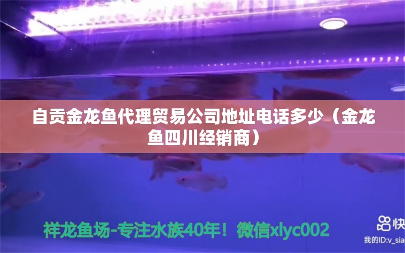 自貢金龍魚代理貿(mào)易公司地址電話多少（金龍魚四川經(jīng)銷商）