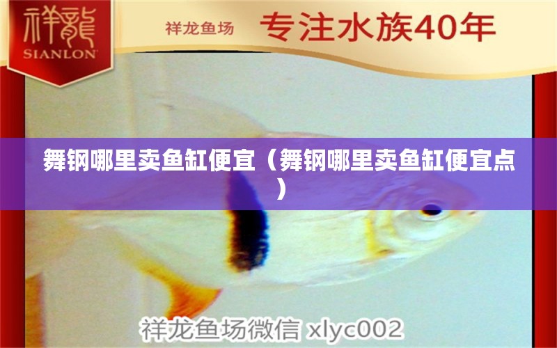 舞鋼哪里賣魚缸便宜（舞鋼哪里賣魚缸便宜點）