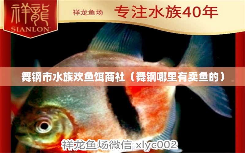 舞鋼市水族歡魚餌商社（舞鋼哪里有賣魚的）