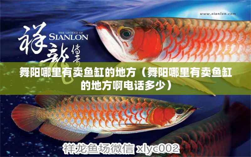 舞陽哪里有賣魚缸的地方（舞陽哪里有賣魚缸的地方啊電話多少） 祥龍水族醫(yī)院