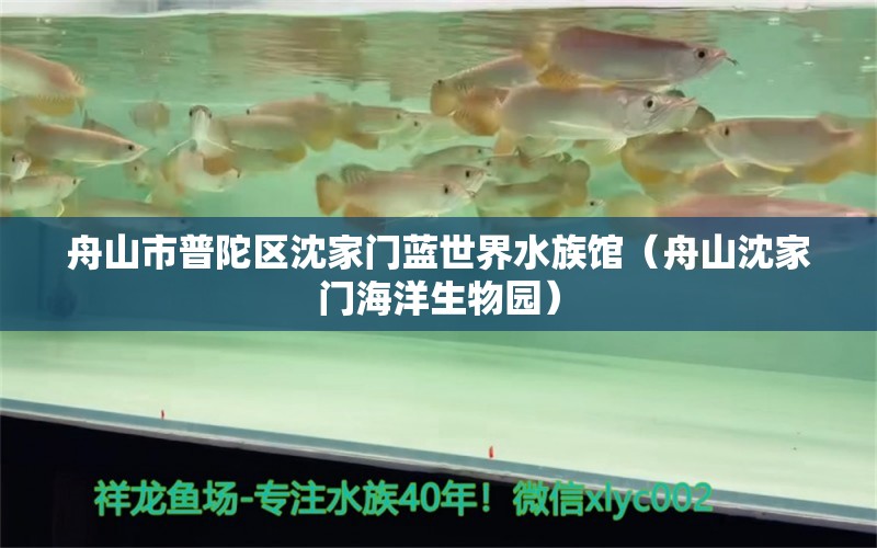 舟山市普陀區(qū)沈家門藍(lán)世界水族館（舟山沈家門海洋生物園）