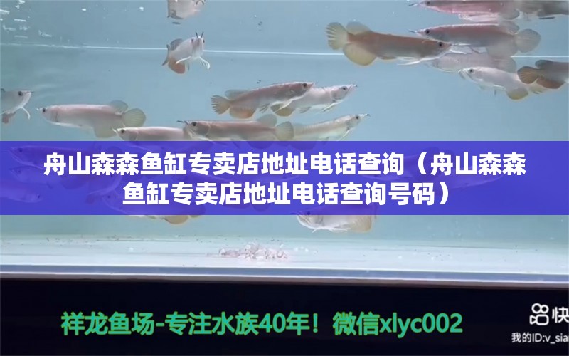 舟山森森魚缸專賣店地址電話查詢（舟山森森魚缸專賣店地址電話查詢號(hào)碼）