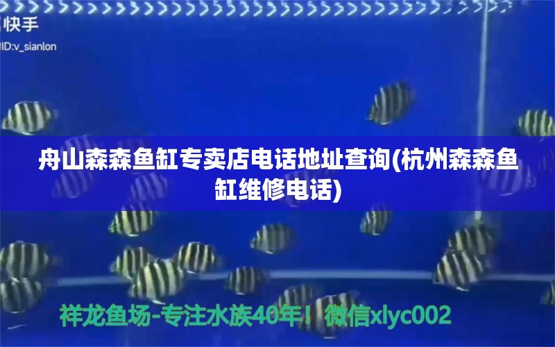 舟山森森魚缸專賣店電話地址查詢(杭州森森魚缸維修電話) 南美異型魚